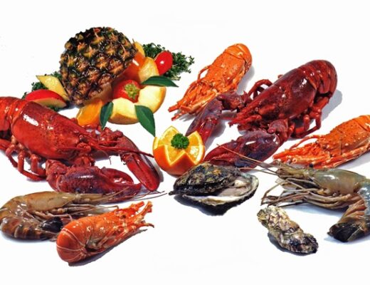 Boca Grande: Mariscos y Coctelería de Alta Gama